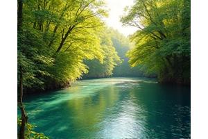 緑豊かな森林と清らかな川の風景。環境保護の象徴